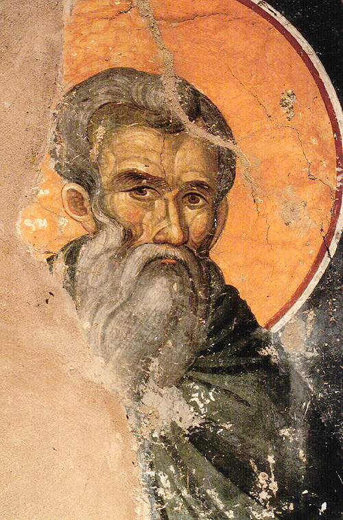 Icona: Teoctisto b.